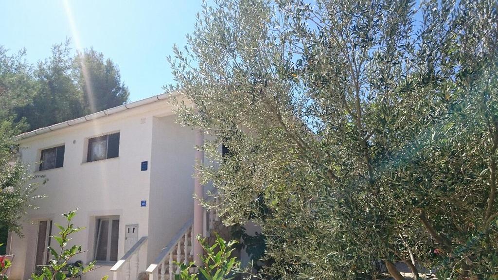 Apartments Mas-Rafaj Vir Exterior photo